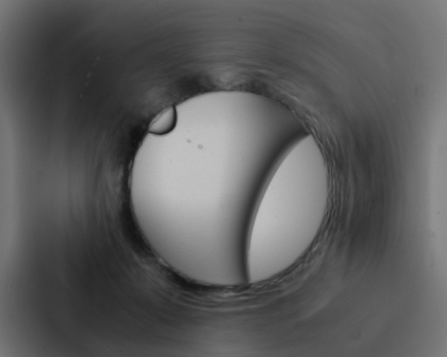 X0000088230319200705151054
