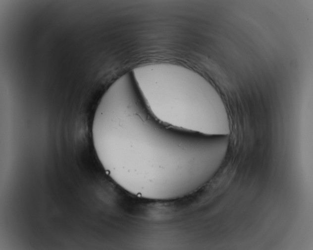 X0000088230320200705151054