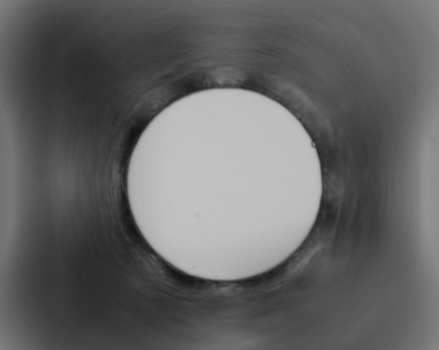 X0000088230321200705151054