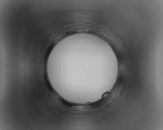 X0000088230323200705151054