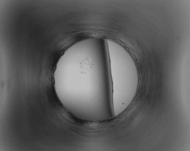 X0000088230325200705151054