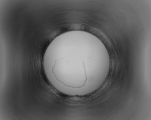 X0000088230326200705151054