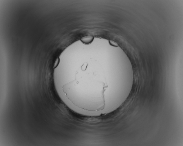 X0000088230327200705151054