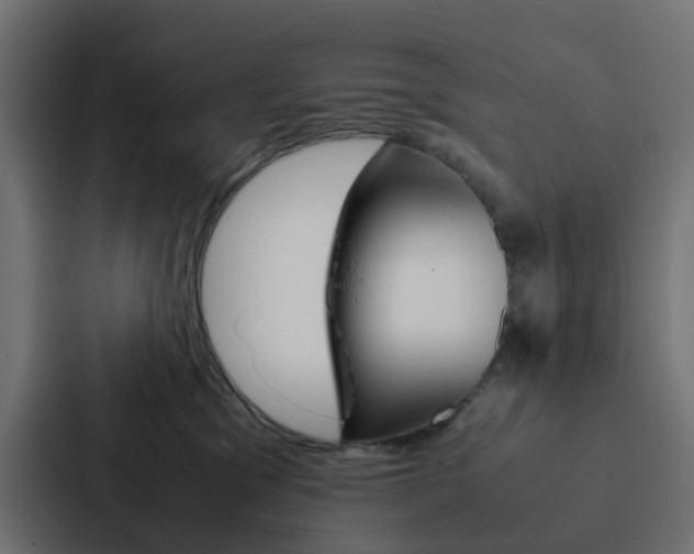 X0000088230329200705151054