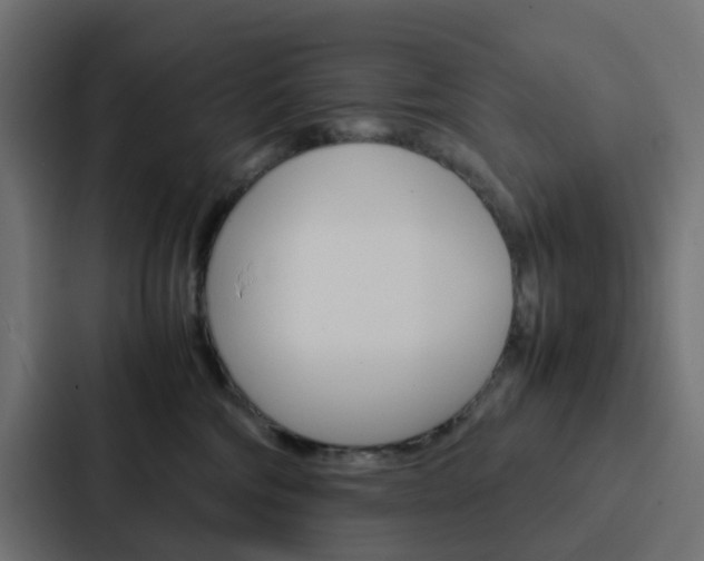 X0000088230330200705151054