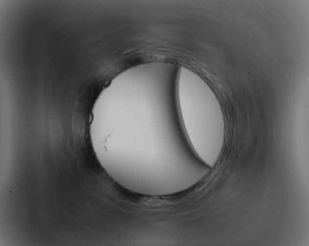 X0000088230331200705151054