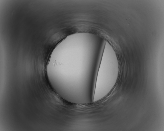 X0000088230333200705151054