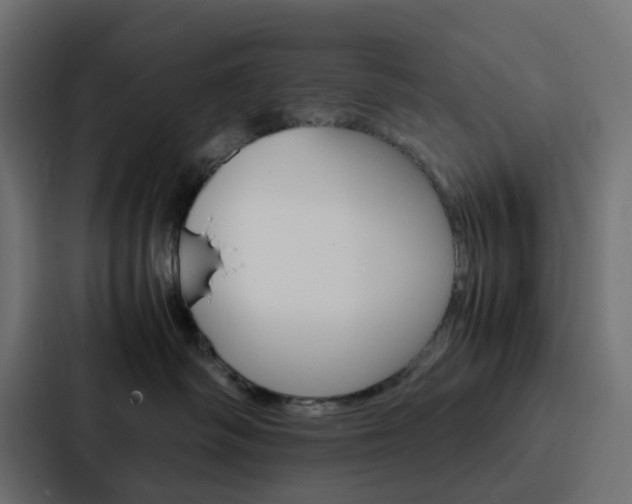 X0000088230334200705151054