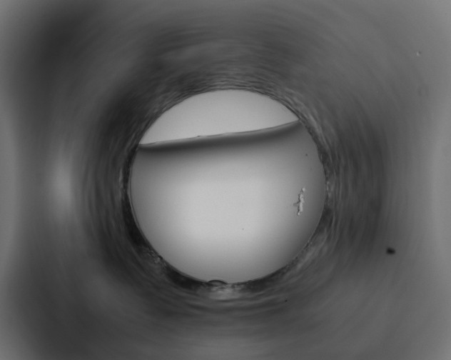 X0000088230335200705151054