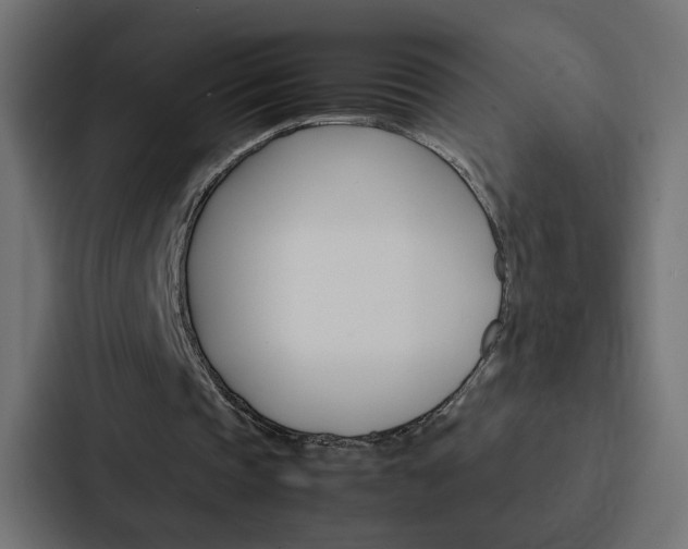 X0000088230337200705151053