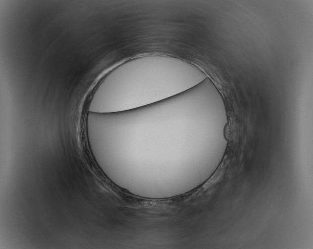 X0000088230338200705151053