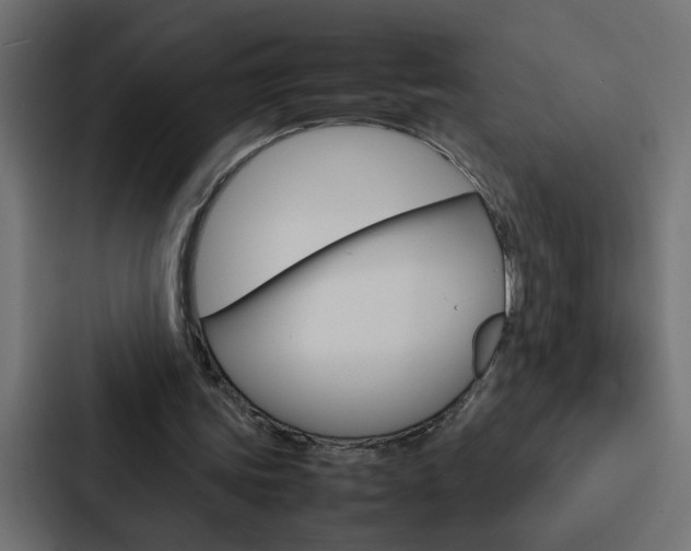 X0000088230339200705151053