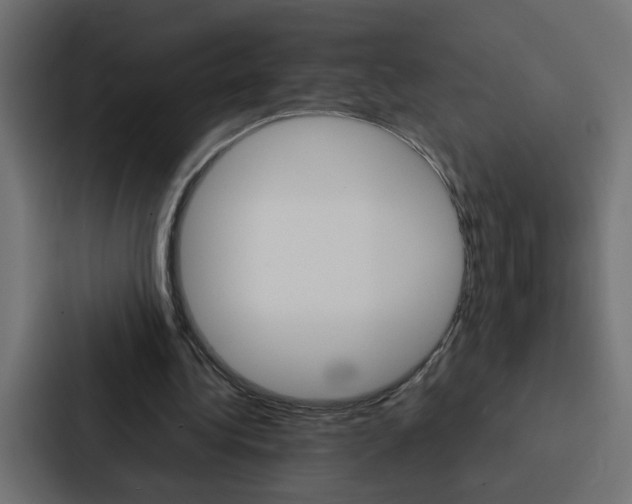 X0000088230340200705151053