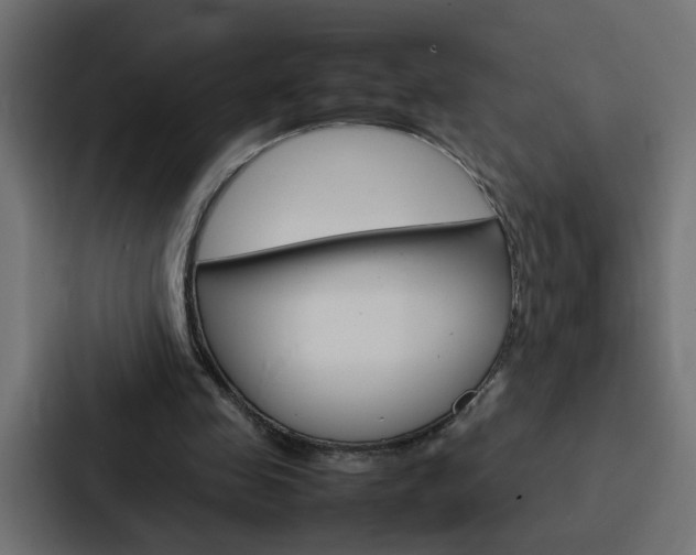 X0000088230341200705151053