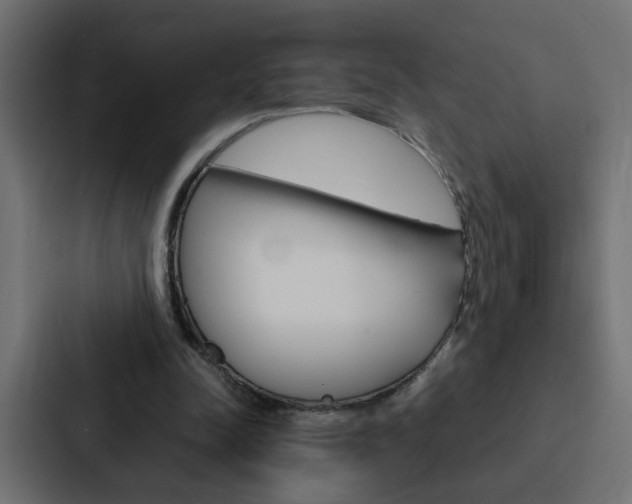 X0000088230342200705151053