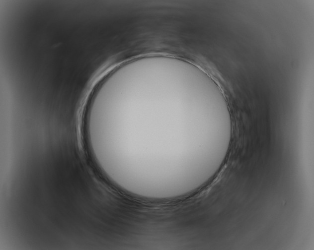 X0000088230344200705151053