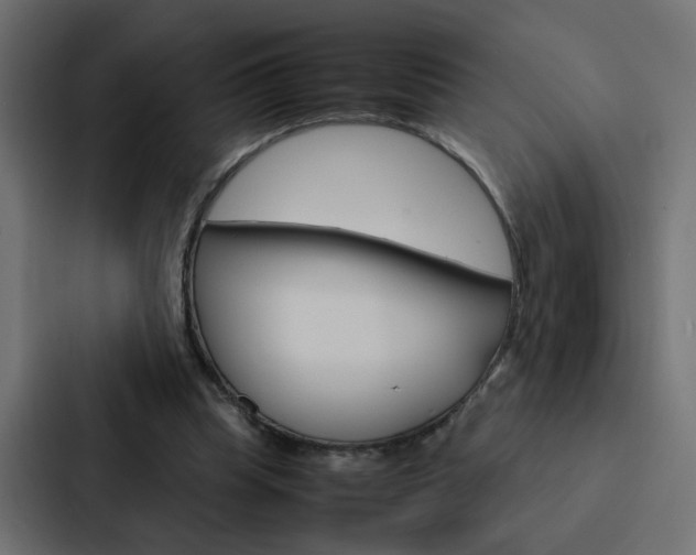 X0000088230345200705151053