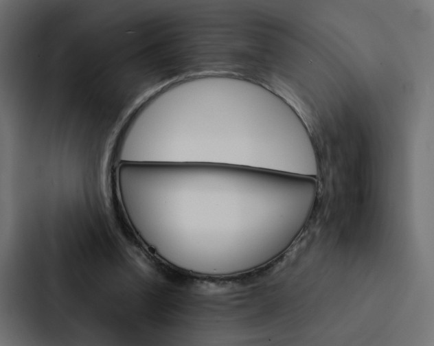 X0000088230346200705151053