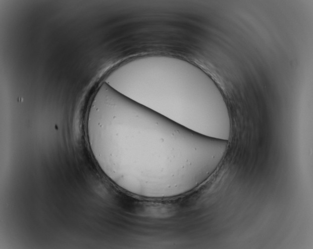 X0000088230347200705151053