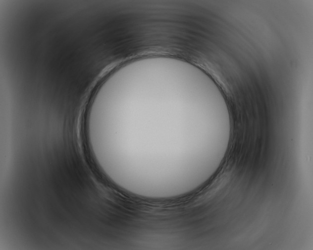 X0000088230348200705151053