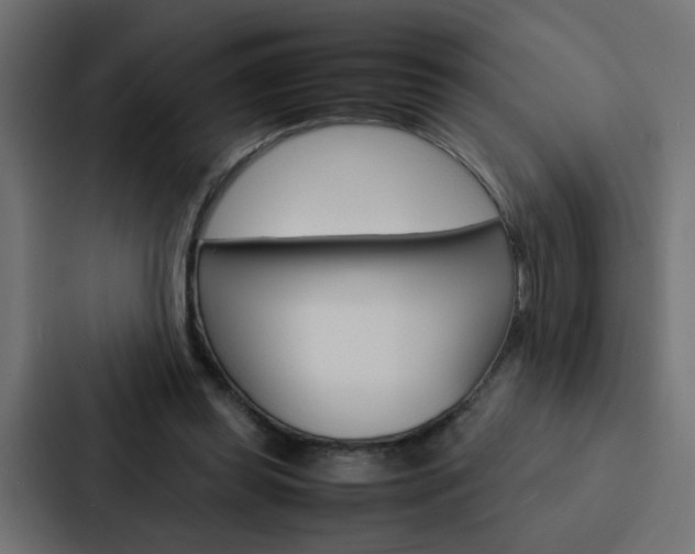 X0000088230349200705151053