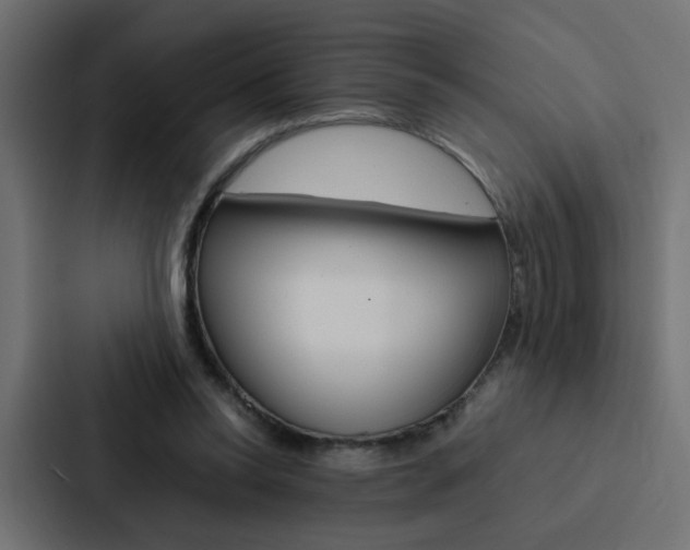 X0000088230350200705151053