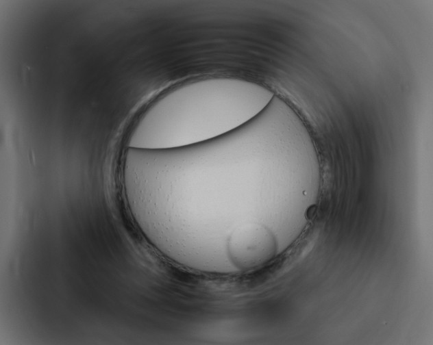 X0000088230351200705151053