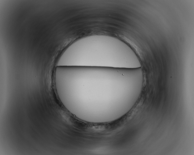 X0000088230353200705151053