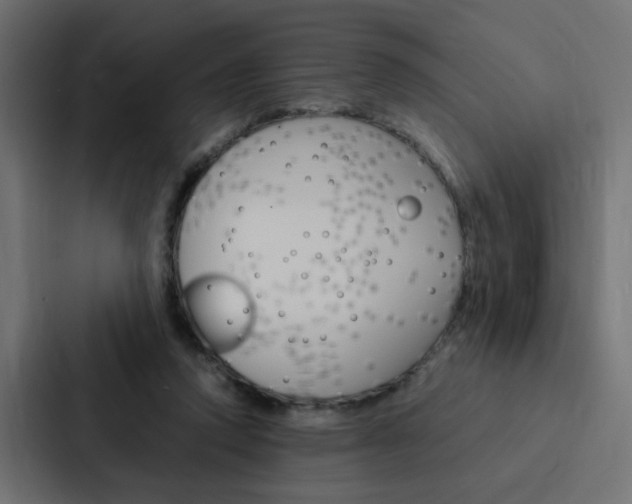 X0000088230354200705151053
