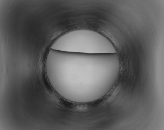 X0000088230355200705151053
