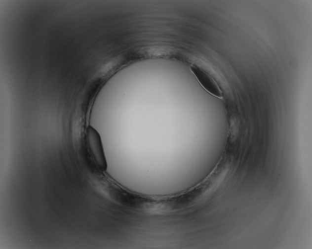 X0000088230356200705151053