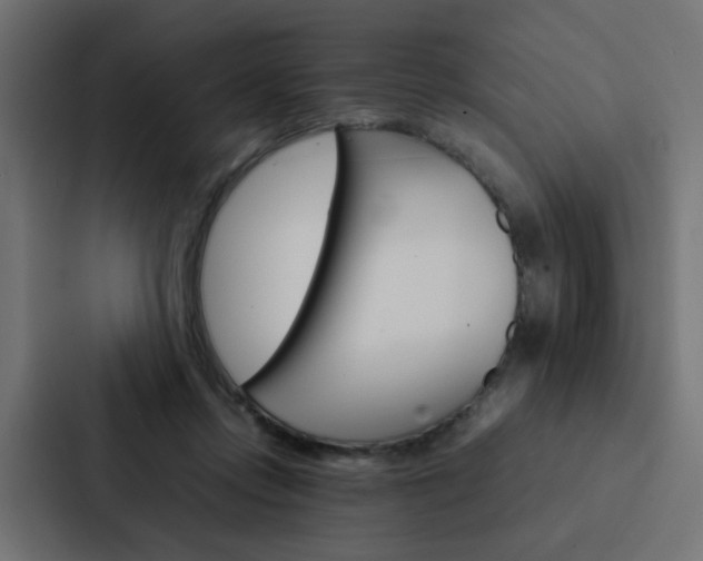 X0000088230358200705151053