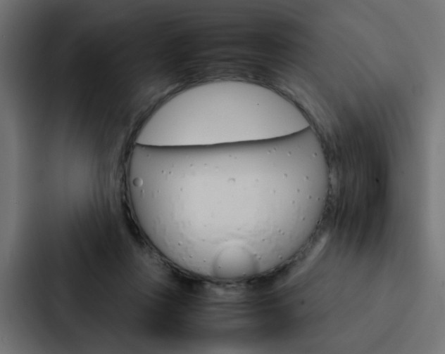 X0000088230359200705151053