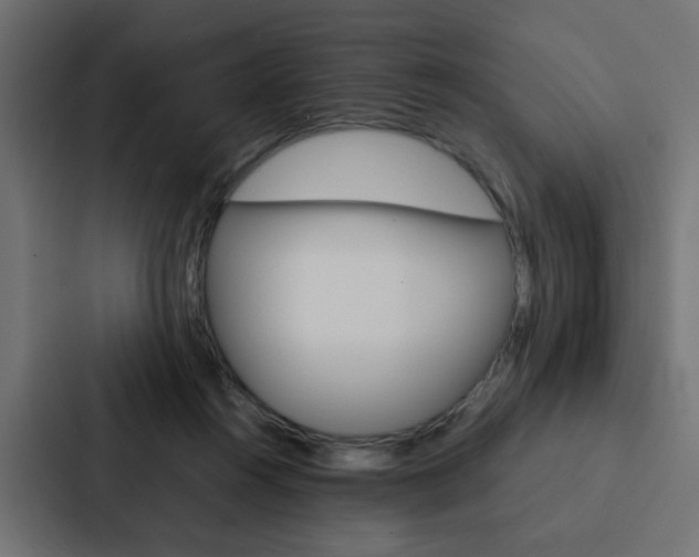 X0000088230360200705151053