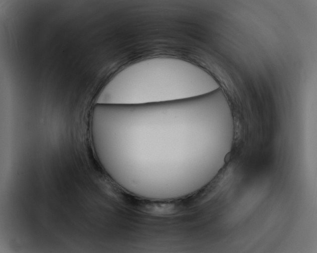 X0000088230361200705151053