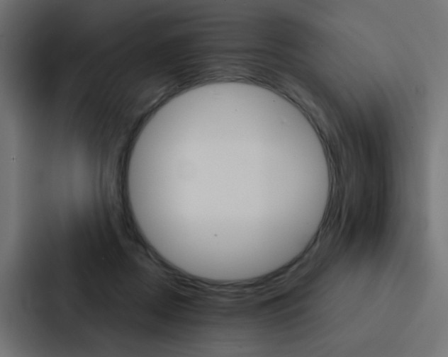 X0000088230362200705151053