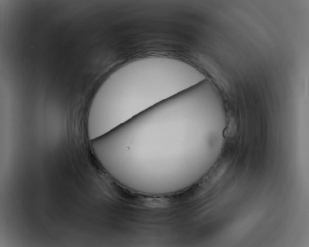 X0000088230363200705151053