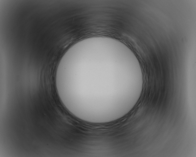 X0000088230364200705151053