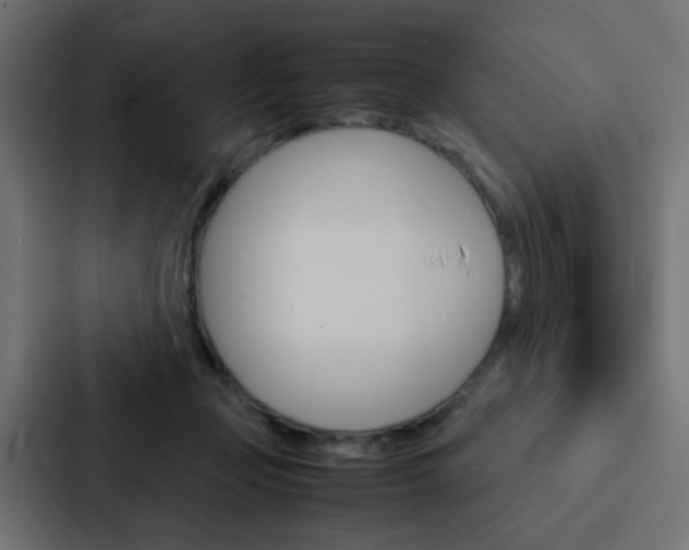 X0000088230365200705151053