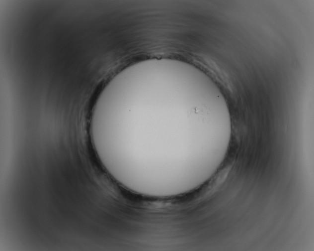 X0000088230366200705151053