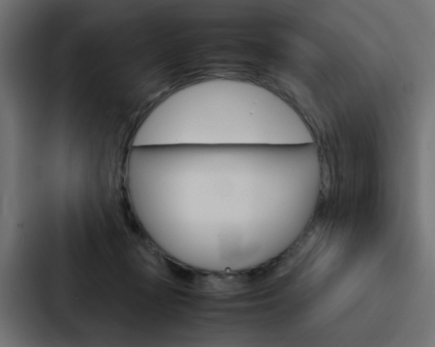 X0000088230367200705151053