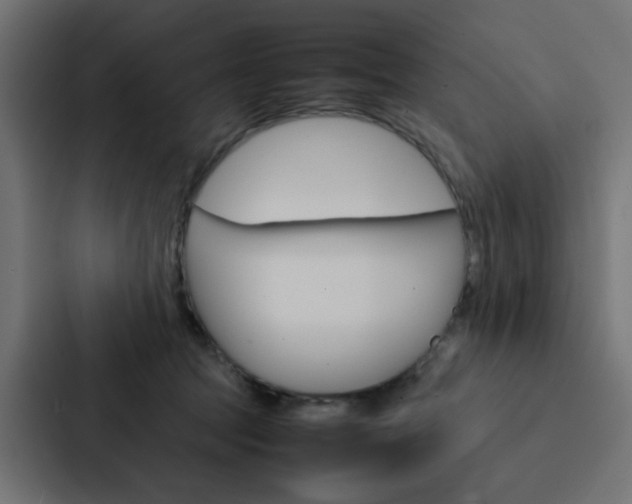 X0000088230369200705151053