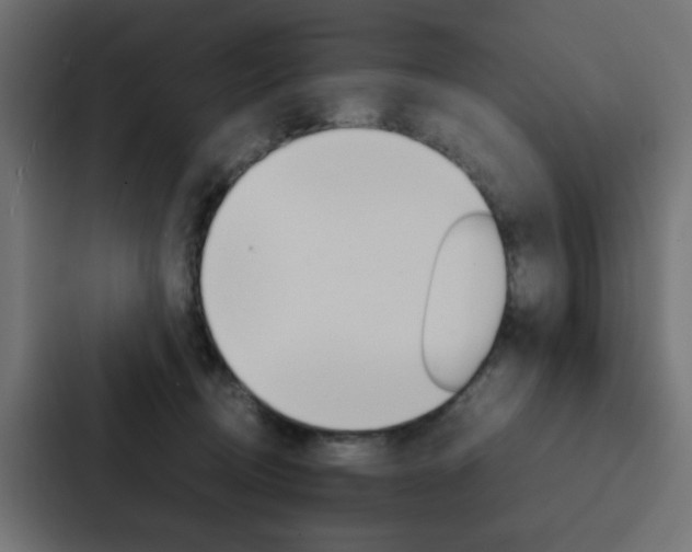 X0000088230370200705151053