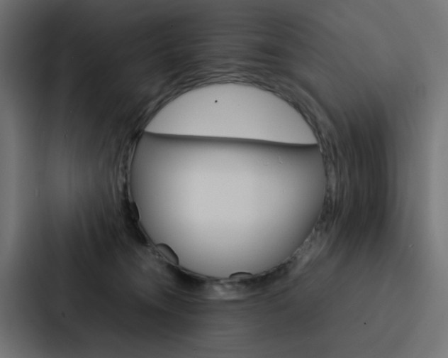 X0000088230372200705151053