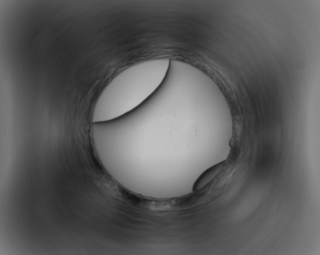 X0000088230373200705151053