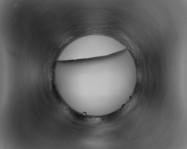 X0000088230374200705151053