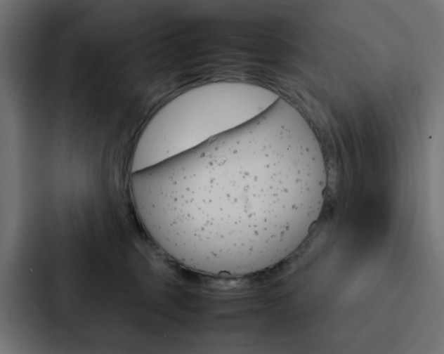X0000088230375200705151054