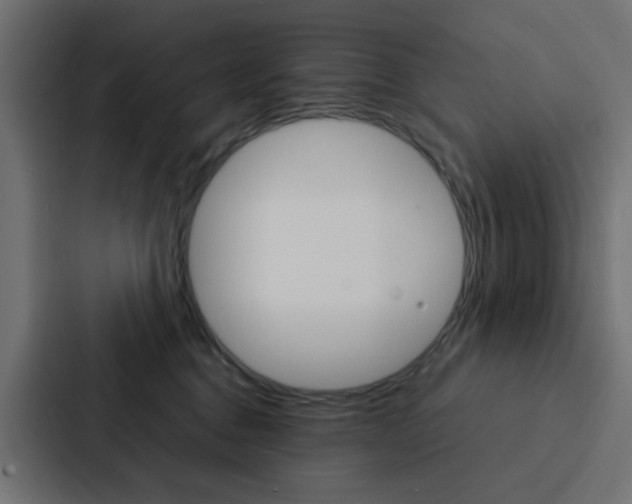 X0000088230376200705151054