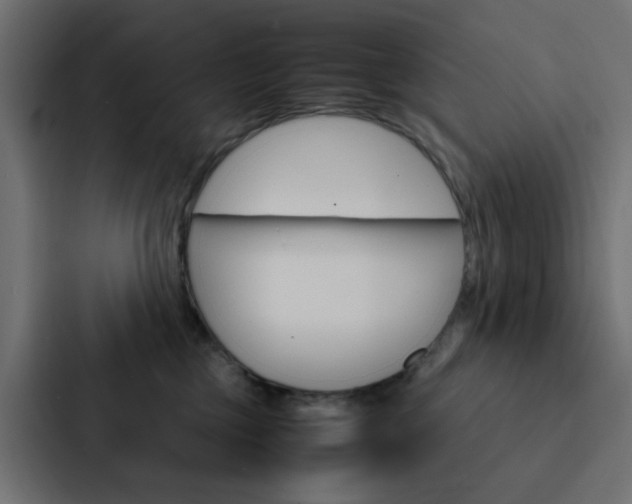 X0000088230377200705151054