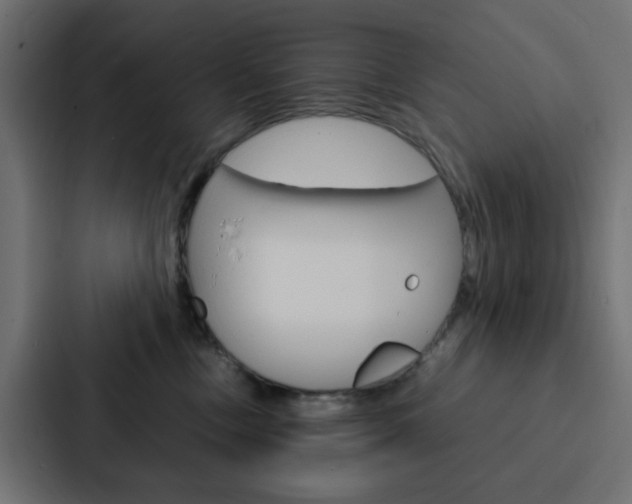 X0000088230378200705151054
